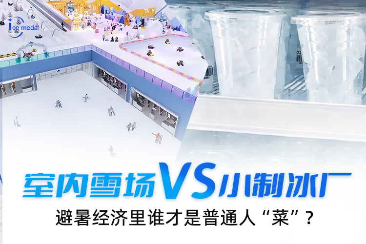 室内雪场VS小意昂体育，避暑经济里谁才是普通人“菜”？